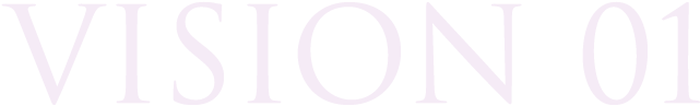 VISION01