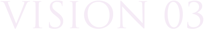 VISION03